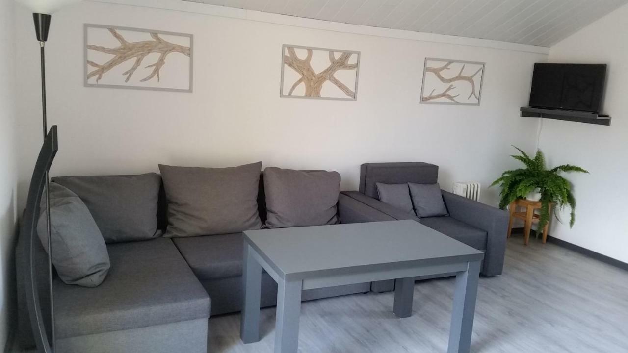 Domek Pod Brzozami Świnna Exteriér fotografie