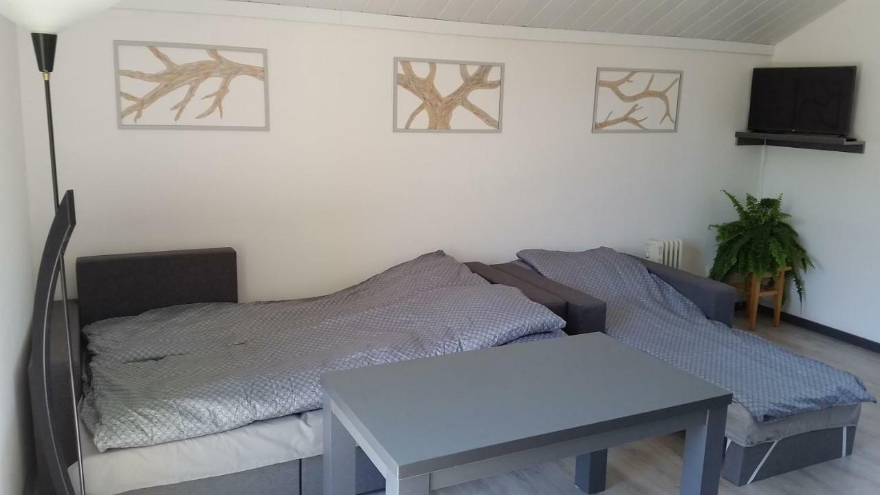 Domek Pod Brzozami Świnna Exteriér fotografie